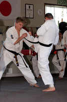 Kyokushin Fighting Seminar April 2010