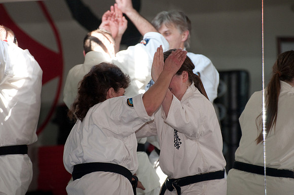 fight_Seminar-54