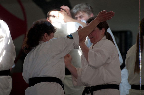 fight_Seminar-55