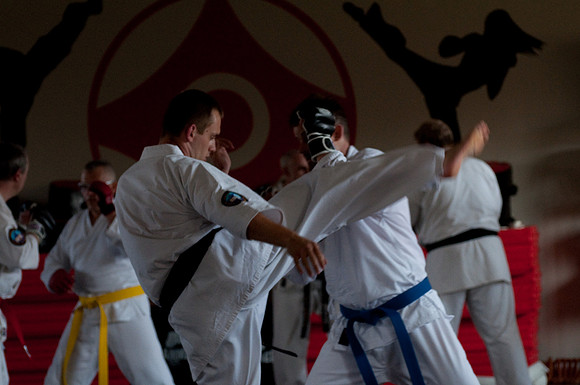fight_Seminar-95