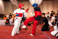2009 American International Karate Tournament