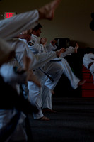 fight_Seminar-19
